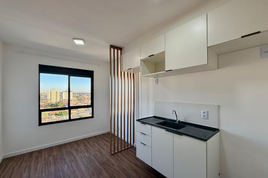 Cozinha  de apartamento para alugar com 1 quarto, 24m² em Vila das Belezas, São Paulo