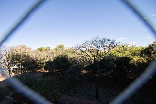 Vista de apartamento para alugar com 2 quartos, 87m² em Sqn 111, Brasília
