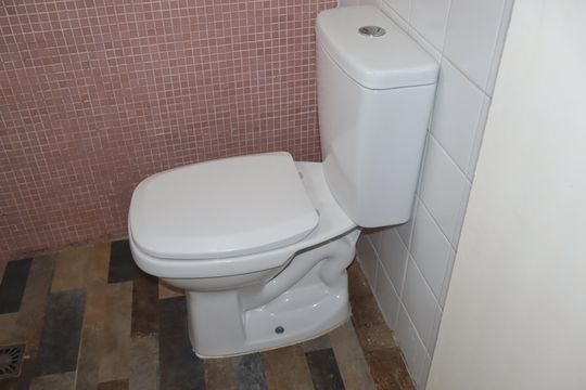 Banheiro de apartamento para alugar com 1 quarto, 55m² em Jardim Guairaca, São Paulo