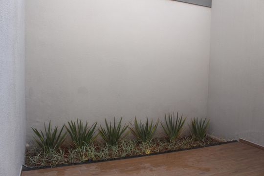 Quintal de casa à venda com 3 quartos, 180m² em Campestre, São Caetano do Sul