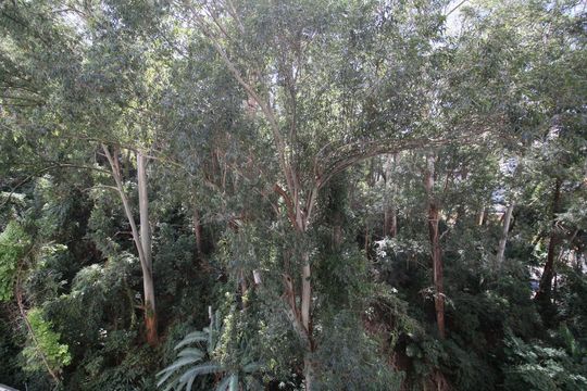 Vista Varanda Sala  de apartamento para alugar com 2 quartos, 54m² em Vila Andrade, São Paulo