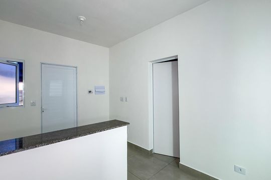 Sala e Cozinha de casa para alugar com 1 quarto, 35m² em Vila das Belezas, São Paulo