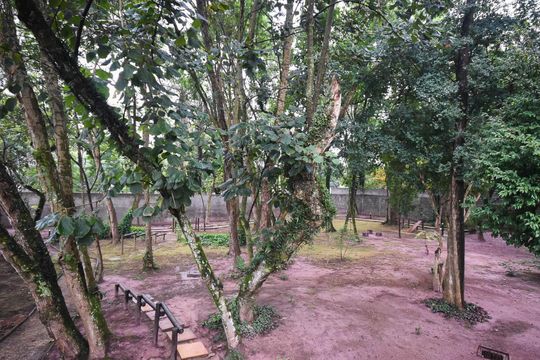 Bosque de apartamento para alugar com 2 quartos, 47m² em Vila das Belezas, São Paulo