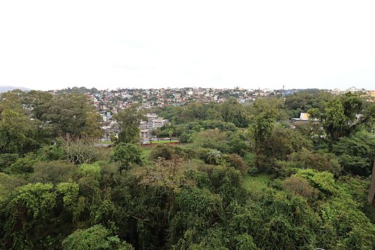 Vista do Quarto 3 de apartamento para alugar com 3 quartos, 55m² em Jardim Carvalho, Porto Alegre