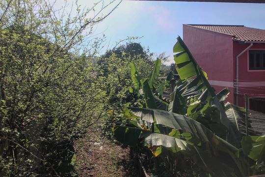 Vista da Cozinha/Área de serviço de casa para alugar com 1 quarto, 120m² em Cristal, Porto Alegre