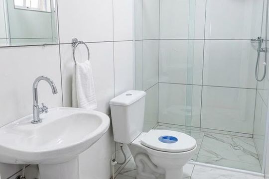 Banheiro de apartamento para alugar com 2 quartos, 49m² em Brás, São Paulo
