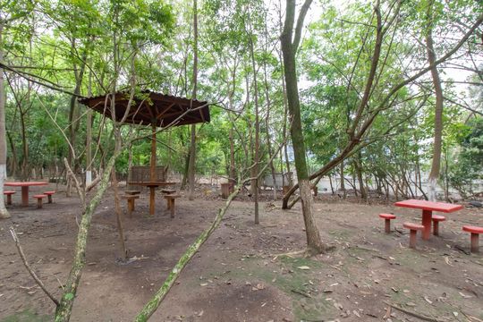 Area Comum - Bosque Privativo de apartamento à venda com 2 quartos, 47m² em Jardim Bela Vista, Guarulhos