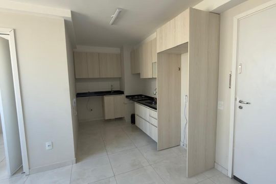 Cozinha de apartamento para alugar com 2 quartos, 45m² em Ipiranga, São Paulo