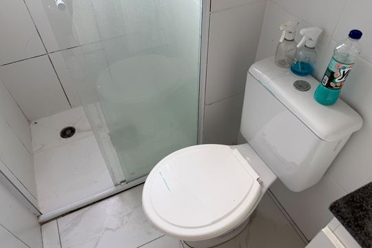Banheiro de apartamento para alugar com 2 quartos, 65m² em Morro Nova Cintra, Santos