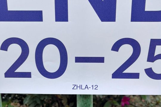 ZHLA-12 de casa à venda com 4 quartos, 359m² em Luxemburgo, Belo Horizonte