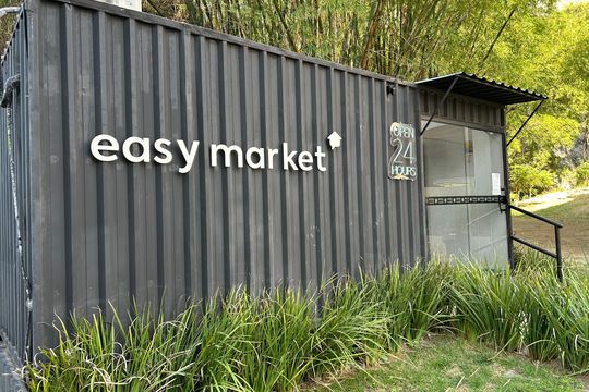 Área comum - Mercado de apartamento para alugar com 2 quartos, 45m² em Água Santa, Rio de Janeiro