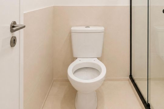 Banheiro de apartamento para alugar com 2 quartos, 50m² em Várzea das Mocas, São Gonçalo