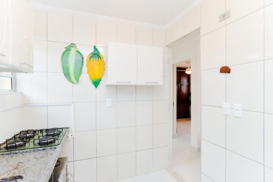 Cozinha e Área de Serviço de apartamento para alugar com 2 quartos, 42m² em Jardim Hanna, Guarulhos