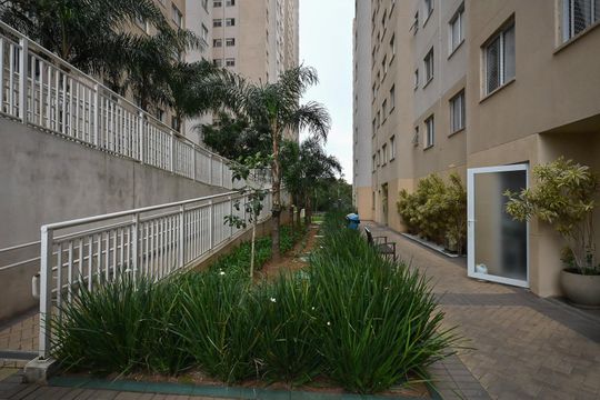Jardim de apartamento para alugar com 2 quartos, 41m² em Jardim Celeste, São Paulo