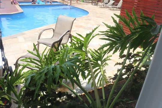 Área comum - Piscina de apartamento para alugar com 2 quartos, 75m² em Barcelona, São Caetano do Sul