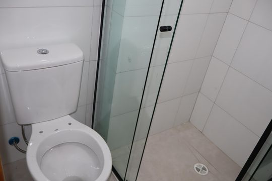 Banheiro de apartamento para alugar com 2 quartos, 39m² em Quinta da Paineira, São Paulo