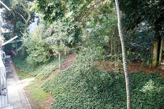 Quarto Vista de apartamento para alugar com 1 quarto, 36m² em Petrópolis, Porto Alegre
