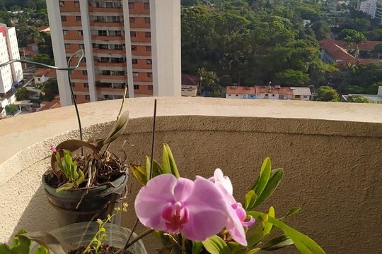 Varanda de apartamento para alugar com 2 quartos, 46m² em Santo Amaro, São Paulo