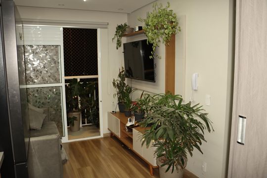 Apartamento à venda com 2 quartos, 35m² em Vila Graciosa, São Paulo