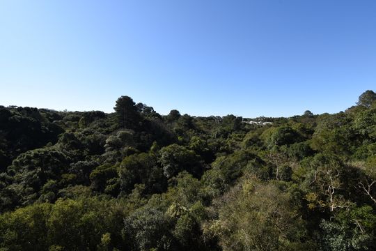 Vista da Sala de apartamento à venda com 2 quartos, 56m² em Santo Inácio, Curitiba
