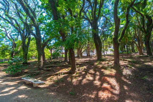 Área comum de apartamento para alugar com 2 quartos, 100m² em Perdizes, São Paulo