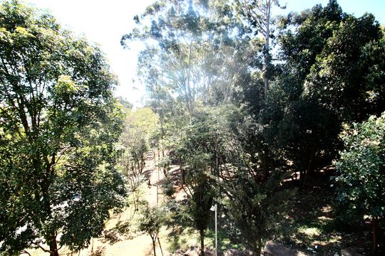 Área de serviço  de casa para alugar com 2 quartos, 40m² em Parque Cisper, São Paulo