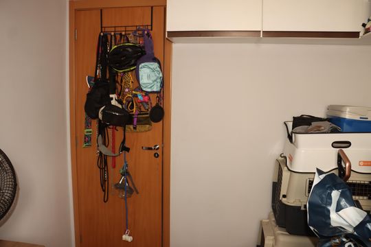 Apartamento para alugar com 2 quartos, 44m² em Cidade São Mateus, São Paulo