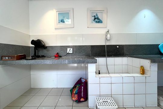 Área comum - Pet Care de apartamento para alugar com 2 quartos, 55m² em Jardim Chapadão, Campinas