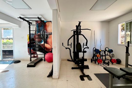 Área comum - Academia de apartamento para alugar com 2 quartos, 55m² em Jardim Chapadão, Campinas