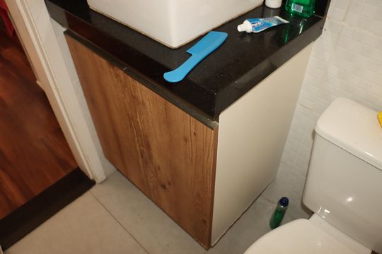 Apartamento para alugar com 2 quartos, 65m² em Parque Independencia, São Paulo