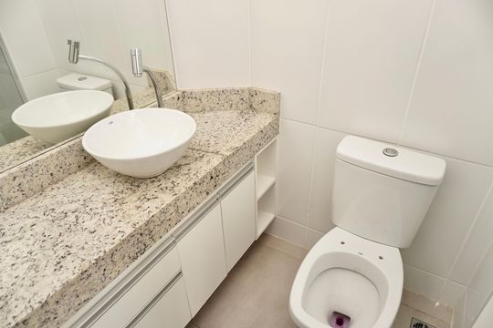 Banheiro da suíte de apartamento para alugar com 2 quartos, 54m² em Coração Eucarístico, Belo Horizonte
