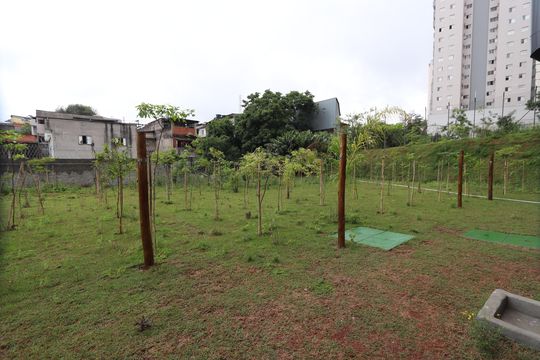 Área comum - Pomar de apartamento para alugar com 2 quartos, 45m² em Vila Formosa, São Paulo