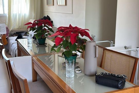 Sala de apartamento à venda com 2 quartos, 47m² em Jardim Celeste, São Paulo
