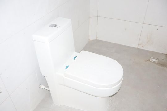 Banheiro de apartamento à venda com 2 quartos, 36m² em Vila Elze, São Paulo