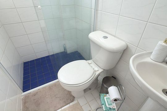 Banheiro de apartamento para alugar com 2 quartos, 49m² em Mooca, São Paulo