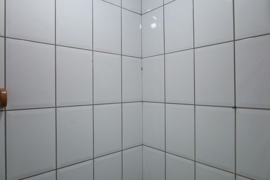 Banheiro 4 de casa para alugar com 4 quartos, 110m² em Jardim das Camelias, São Paulo