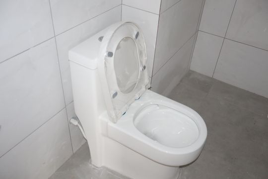 Banheiro de apartamento à venda com 2 quartos, 36m² em Vila Elze, São Paulo