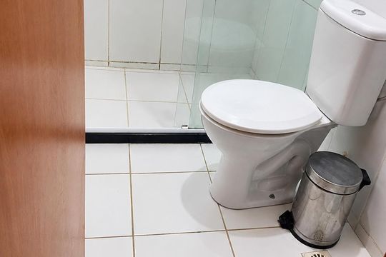 Banheiro de apartamento para alugar com 2 quartos, 50m² em Parque Rodoviária, Campos dos Goytacazes