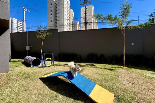 Área comum - Pet Place de apartamento para alugar com 2 quartos, 66m² em Bonfim, Campinas