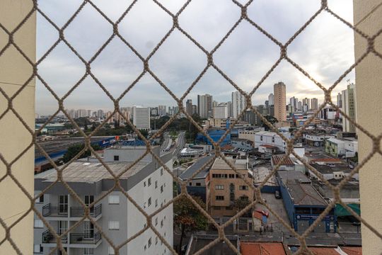 Sala - vista de apartamento para alugar com 2 quartos, 46m² em Vila das Palmeiras, Guarulhos
