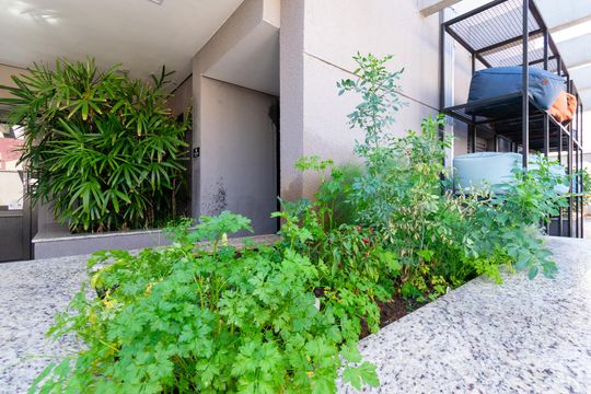 Área comum de apartamento para alugar com 1 quarto, 30m² em Vila Guarani (zona Sul), São Paulo