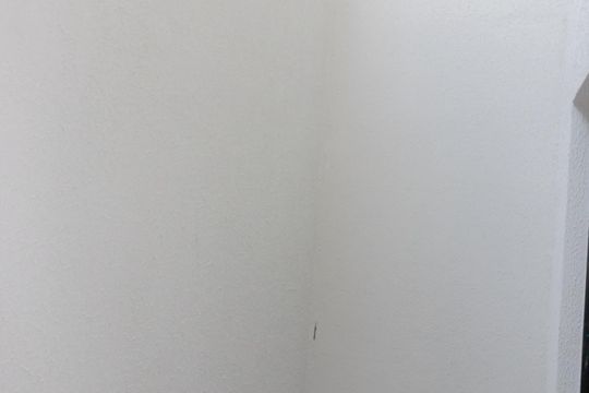 Quintal de apartamento para alugar com 1 quarto, 35m² em Quinta da Paineira, São Paulo