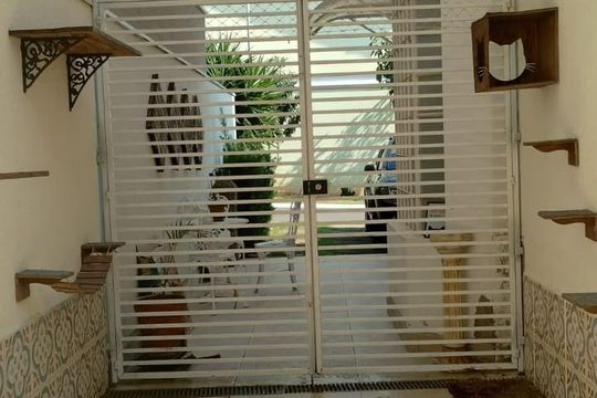 Casa de Condomínio para alugar com 3 quartos, 211m² em Vila Avai, Indaiatuba