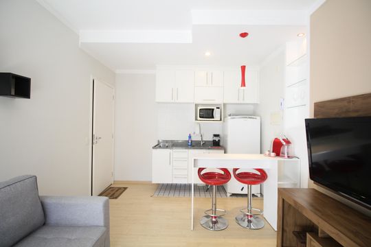 Sala/Cozinha de kitnet/studio para alugar com 1 quarto, 32m² em Parque Fernanda, São Paulo
