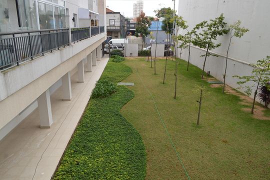 Área comum de apartamento para alugar com 2 quartos, 41m² em Cambuci, São Paulo