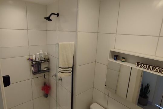 Banheiro de apartamento para alugar com 2 quartos, 42m² em Santo Cristo, Rio de Janeiro