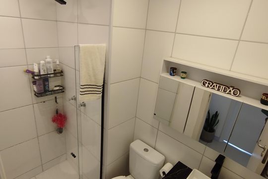 Banheiro de apartamento para alugar com 2 quartos, 42m² em Santo Cristo, Rio de Janeiro