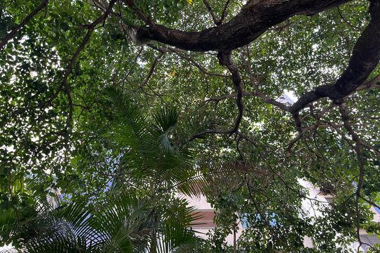 Fachada do Prédio de apartamento à venda com 3 quartos, 120m² em Pompeia, São Paulo