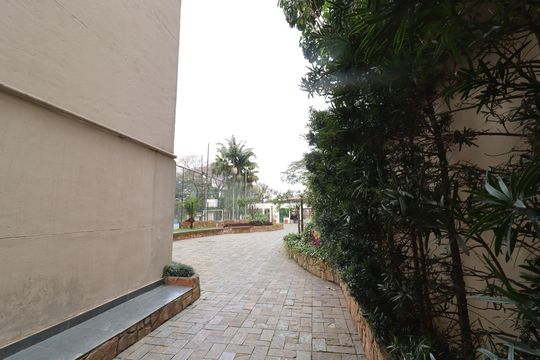 Área comum - Verde de apartamento para alugar com 3 quartos, 80m² em Vila Sofia, São Paulo
