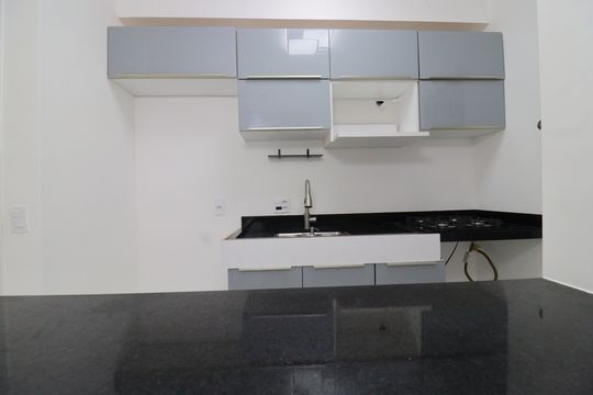 Detalhe da cozinha de apartamento para alugar com 2 quartos, 49m² em Usina Piratininga, São Paulo